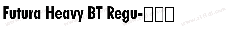 Futura Heavy BT Regu字体转换